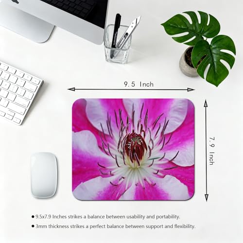 Pink and White Clematis Flower Mouse Pad, Delicate Floral Desk Mat | 9.5"x 7.9", Vibrant Nature Flowers Close-Up Art, Cute Smooth & Anti-Slip Mousepad - color: Colorful Design Wknoon-Art 34