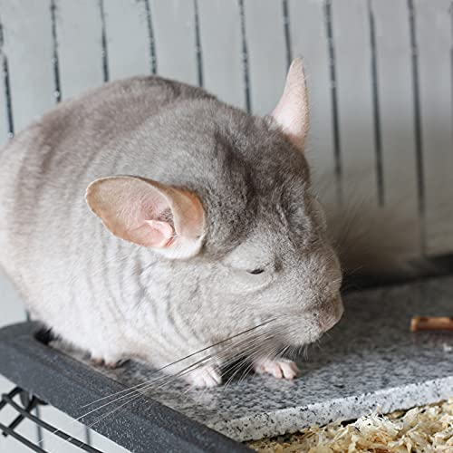 Chinchilla Cooling Stone Durable Cool Down Easy Clean in Hot Summer for Rabbit Hamster Guinea Pig Chinchilla Kitten Small Animals Spots of Grey