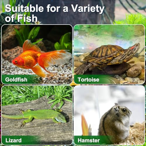 VANZACK 4 Pack Small Plastic Fish Tanks, Portable Terrariums with Lids | Clear Plastic Terrariums with Vented Lids and Handles, Critter Carrier for Small Fish, Turtles, Hamster, Snakes Aquarium
