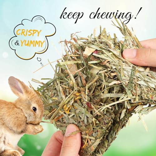 Abizoo Rabbit & Guinea Pig Treats 8 Pack Large Timothy Hay Chips | Bunny Chew Toys, Herbal Flowers, Vitamins and Minerals, Timothy Hay Forage Mix