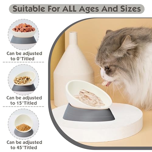 French Bulldog Food Bowl- Slanted Tilted Pug Food Water Bowl,Cat Bowl- Feeder for Frenchie/Shih Tzu/Flat Faced Small Dogs/Puppies/Cats (Grey, 2 Cup) - color: Grey, size: 2 Cup