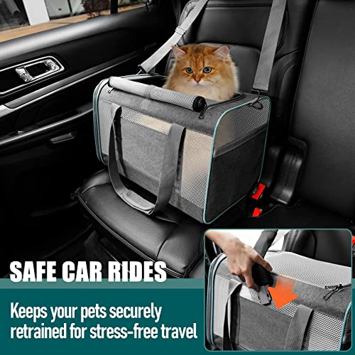 GAPZER Large Cat Carrier Soft, Collapsible Travel Pet Carry Bag, Small Dogs | Large Cats up to 20 lbs+ Maine Coon, Top Load Transport Small Puppy Dog Crate, Chihuahua Mini Dog 10lbs, Sturdy Mesh Grey - color: Grey