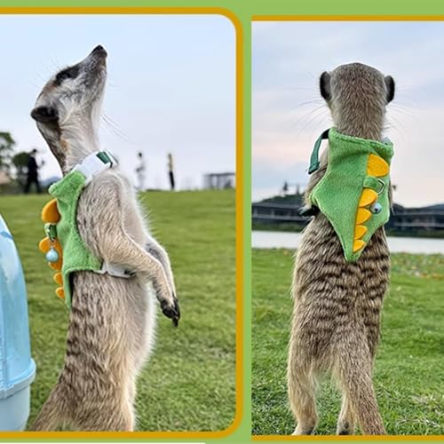 Ferret Harness and Leash Set Small Animals Vest Harness with Safe bell Dinosaur Shaped Walking clothes for Baby Rabbit Guinea pig Teacup Chihuahua Mouse and other small pet(Green Dinosaur) - color: Green Dinosaur