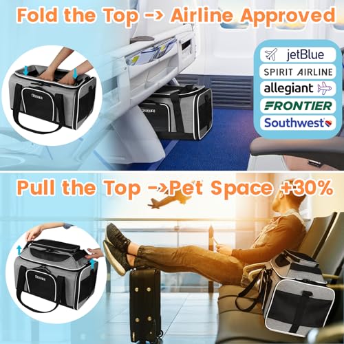 Top-Expandable Small Pet Carrier 17"x12"x8.5" Airline Approved | for JetBlue/Frontier/Spirit Airlines, Lockable Safety Zippers and Anti-Scratch Mesh, Soft-Sided, Pets Under 8 Lbs, Grey - color: Grey, size: 17.0"L x 12.0"W x 8.5"H
