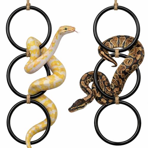 2PCS Snake Climbing Rings for Ball Python - Enrichment Toys for Corn Snake | Reptiletank Cage Decor Habitat Accessories | Terrarium, Bearded Dragon, Chameleon, Iguana, Gecko, Lizard, Parrot
