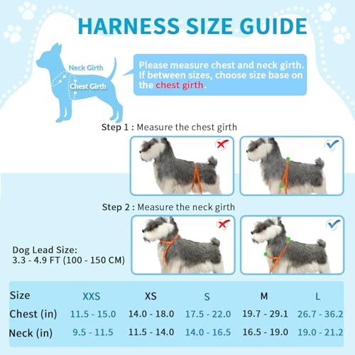 Lukovee Soft Padded Small Dog Harness (X-Small, Green) with 4ft Lightweight Leash, Adjustable Reflective Vest for Walking, Running, Hiking, Training | Both Neck & Chest Adjustable, Reflective, Puppy Harness with 4ft Lightweight Anti-Twist Dog Leash for Sm