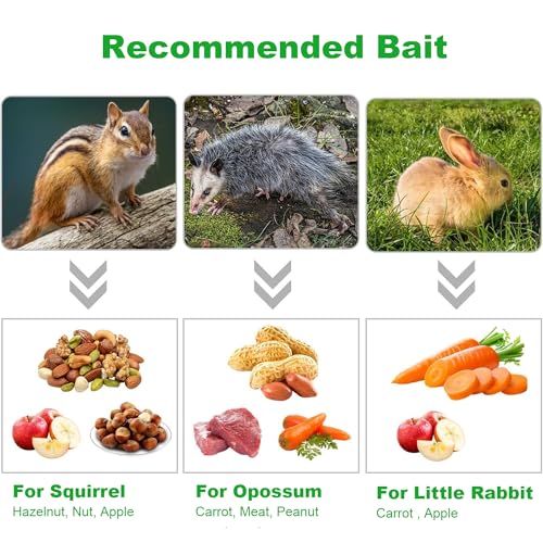 Live Squirrel Trap, Foldable Heavy Duty Humane Animal Cage Trap, Large Rat Trap Cage Catch and Release, Rodent Rabbit Trap for Indoor and Outdoor - 17” L x 7.9” W x 7.5” H
