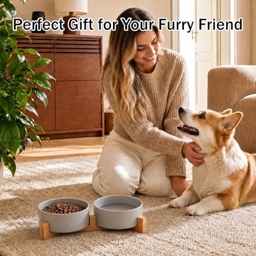 MateeyLife Ceramic Dog and Cat Bowls with Stand, 2-Pack Food and Water Bowl Set - Non-Slip Pet Bowls for Small & Medium Size Dogs，28.7OZ(Grey) - color: Grey, size: M-3Cup