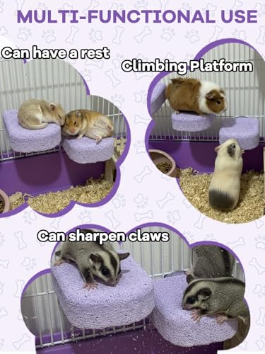 Lava Ledges for Rats 3 Pack Hamster Climbing Ledge Platform Pumice Ledge Shelf Pet Chewing Grinding Toys Small Animals Cage Accessories for Mouse Guinea Pig Gerbil Purple - color: Purple, size: 3 PCS 2.95 x 2.55 x 0.98 inches