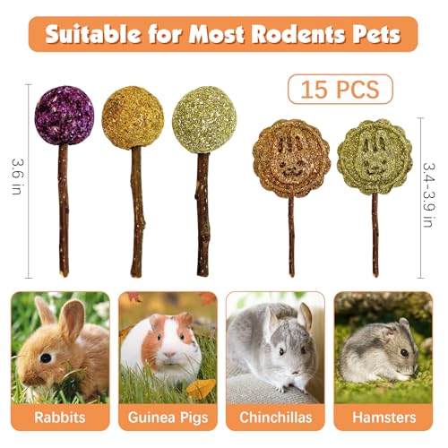 Fhiny Rabbit Chew Toys, 15 PCS Natural Bunny Lollipop Chew Sticks Handmade Guinea Pig Molar Treats for Teeth Small Animals Snacks for Guinea Pig Bunny Chinchilla Hamster Gerbil Teeth Care
