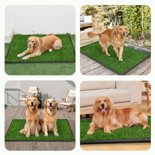 LOOBANI Dog Grass Pad with Tray - 45x29in for Potty Training | 2 Replacement Fake Grass Pads, Easy to Clean, Dog Litter Box, Balcony/Apartment/Indoor/Outdoor Use - size: Tray Potty 45*29inch