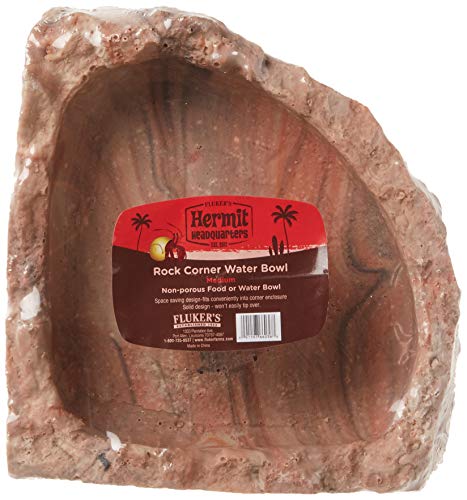 Fluker's Corner Rock Bowl, Food & Water Dish for Hermit Crabs, Medium 6" - size: Medium