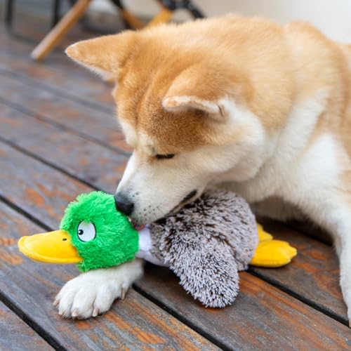 Best Pet Supplies Interactive Squeaky Dog Chew Toy, Ideal Dog Toys for Chewers, Small, Medium & Large Dogs, and Fetch Lovers - Mallard Duck (Gray), Small - color: Mallard Duck (Gray), size: Small