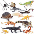 Toymany Reptile Animal Figurine Toys Set, 12 PCS Halloween Desert Amphibians Animal Figures with Komodo Dragon Lizard Snake Chameleon Rainforest Cold Blooded Animals Figures Party Favor for Kids - style: Reptile Animal Figurine