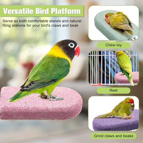 4 Pack Bird Beak Grinding Stone, Pumice Lava Ledge for Birds, Chinchillas, Hamsters, Parrots, Bird Perch Stand Climbing Ledge, Teeth & Beak Grinding Block(Long) - size: Long