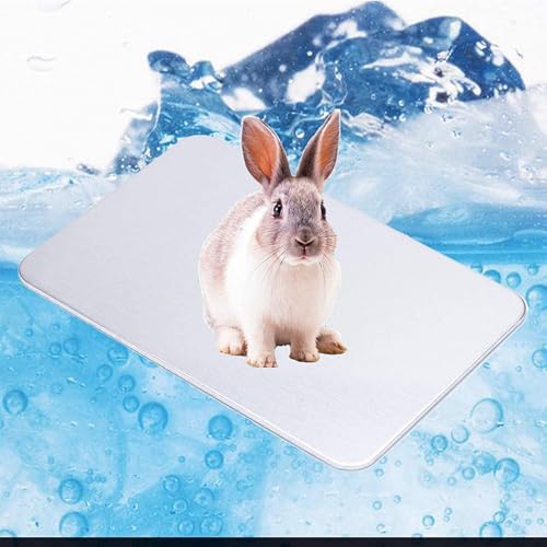 Rabbit Cooling Pad, 12x8 in Self Cooling Mat | for Hamster Guinea Pig Chinchilla Bunny Kitten Cat and Other Small Animal, Pet Cool Ice Bed Plate Perfect for Hot Summer