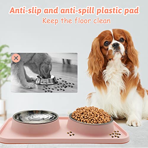 BNOSDM Double Dog Food Bowls Stainless Steel Dog Food and Water Bowls with Non-Spill Plastic Mat Pet Cat Feeder Bowl Set for Puppy Cats Kitten Small Medium Dogs Pink - color: Pink