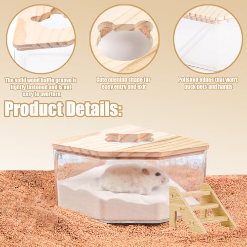 Hamster Sand Bath Container with Ladder, 1 Count | Small Animal Sand Bath Shower, Easy Cleaning, For Dwarf Hamsters, Gerbils, Chinchillas, Pet Bathing Accessories