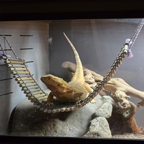 kathson Reptile Bridge for Terrarium,Bearded Dragon Wooden Bridges Gecko Hammock with Hanging Plants Lizard Lounger Bamboo Ladder Reptiles Tank Accessories Climbing for Chameleons Geckos Snakes (3Pcs) - size: Medium