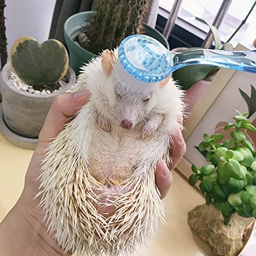 2 Pack Hedgehog Bath Brush Guinea Pig Massage Comb for Hamster Rats | Cleaning Supplies, Ferrets, Chinchilla - color: Blue