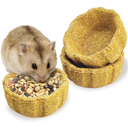 BNOSDM 3 Pcs Hamster Edible Premium Timothy Hay Chew Bowl Pumpkin Blend Rabbit Treats for Teeth Chewing Chinchilla Chew & Decor Toys for Syrian Dwarf Hamsters Gerbils Mice - color: 3PCS-Timothy & Pumpkin