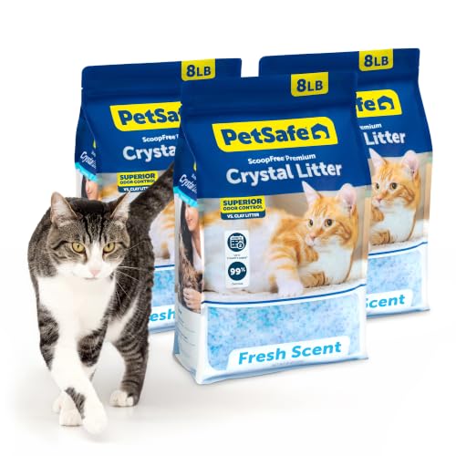 PetSafe ScoopFree Premium Crystal Litter, Fresh Scent, 8Lb Bag, 3 Pack | 5x Faster Odor Control than Clumping Clay Litter, 99% Dust-Free, Low Tracking Crystals, Compatible with Any Cat Litter Box - size: 3-Pack (8 lb Bag)