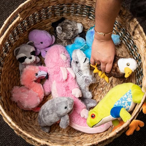 The Petting Zoo Bald Eagle Stuffed Animal Plushie, Gifts for Kids, Wild Onez Babiez Zoo Animals, Eagle Plush Toy 6 inches - color: Bald Eagle