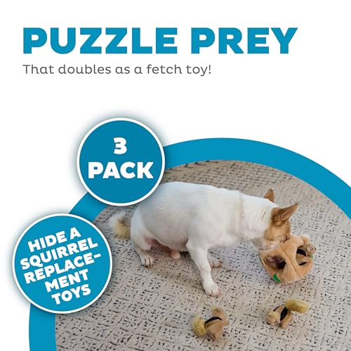 Outward Hound Squeakin’ Squirrels – 3‑Pack Plush Squeaky Dog Toys for Puppies, Small Dogs & Hide-A-Squirrel Replacements - color: Squirrels (3-pack)