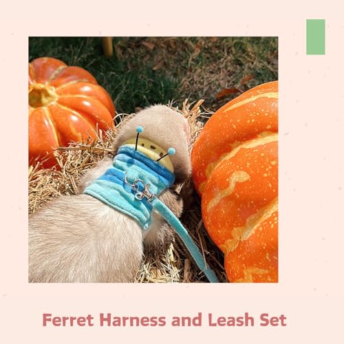Ferret Harness and Leash Set - Small Animal Soft Fleece Vest with Safe Bell Halloween Outfit Adjustable Traction Rope Outdoor Walking Training Leash for Ferret Rat Bearded Dragon Kitten (Blue) - color: Blue