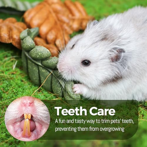 TEEWY Guinea Pig Toys, 6PCS Leaf Shaped Hamster Toys, Natural Guinea Pig Chew Toys for Teeth Grinding, Chinchilla Chew for Gerbil, Rat and Hamster - style: 6PCS-Leaf
