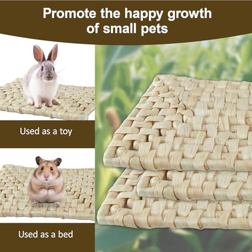Rabbit Grass Mat,Corn husk Woven Natural Grass Bed Mat for Small Animals,Non-Toxic & Durable Chew Toy Nest Pad,Ideal Cage & Playpen Bottom Mat for Rabbits,Guinea Pigs,Hamsters,Rats & Parrots (6pcs) - size: 6pcs