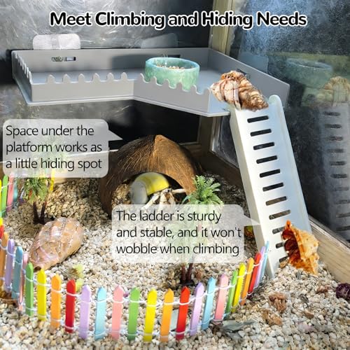 Hamiledyi Hermit Crab Platform with Ladder Climbing Toys Hermit Crab Climbing Wall Shelf Habitat Reptile Tank Decor Terrarium Accessories for Leopard Gecko Frog Turtle - color: Grey