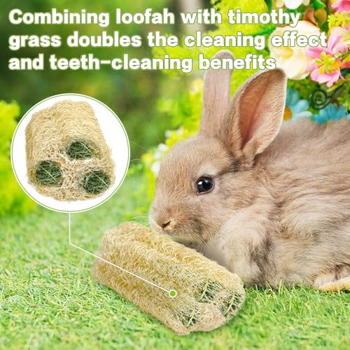 BNOSDM Bunny Chew Toys Natural Loofah 12PCS Bunny Teeth Grinding Toy Rabbit Fiber-Rich Treats Pet Entertainment Accessories for Rabbits Chinchillas Guinea Pig（S） - color: S -12PCS