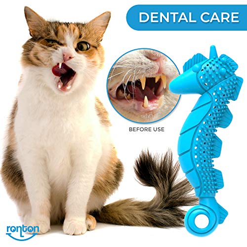 Ronton Cat Toothbrush Catnip Toy - Durable Hard Rubber - Cat Dental Care, Cat Interactive Toothbrush Chew Toy (1 Pack_Seahorse) - size: 1 Pack (Seahorse)
