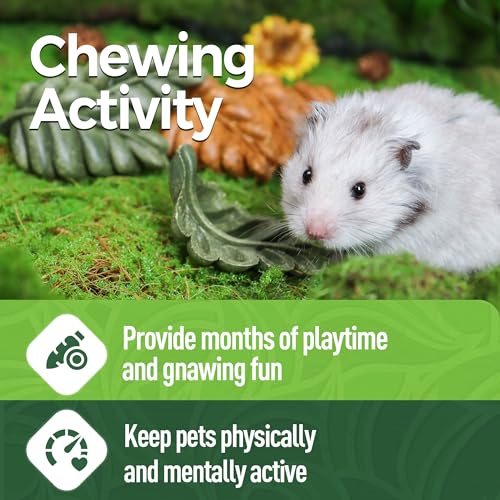 TEEWY Guinea Pig Toys, 6PCS Leaf Shaped Hamster Toys, Natural Guinea Pig Chew Toys for Teeth Grinding, Chinchilla Chew for Gerbil, Rat and Hamster - style: 6PCS-Leaf