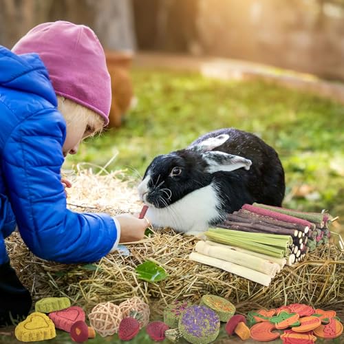 ERKOON 80PCS Bunny Chew Toys for Rabbits Teeth, Natural Rabbit Toys Apple Wood Sticks, Carrot, Timothy Grass Treats for Small Pets, Hamster, Chinchilla, Guinea Pig Dental Care and Treat Teething Toys - size: 80