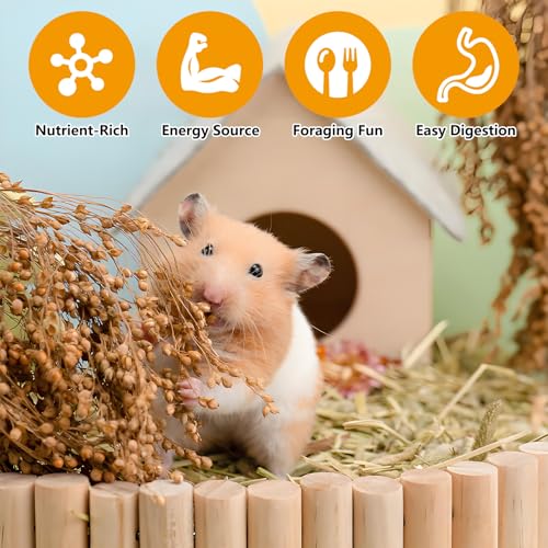 Fhiny Natural Hamster Bedding Mate, Edible Hamster Sprays Flowers & Herbs Gerbil Habitat Enclosure Decor Grain Treats Cage Accessories for Dwarf Syrian Hamster Gerbil Degus Lemming Mice