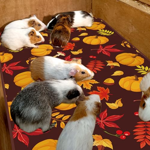 JarThenaAMCS 3 Pcs Guinea Pig Cage Liner Reusable Bunny Squirrel Mat Fall Maple Leaves Pumpkin Washable Small Animal Pee Pads for Autumn Rabbit Hamster Chinchilla Ferret Accessory, 24 x 47 in - style: Brown Pumpkin Maple