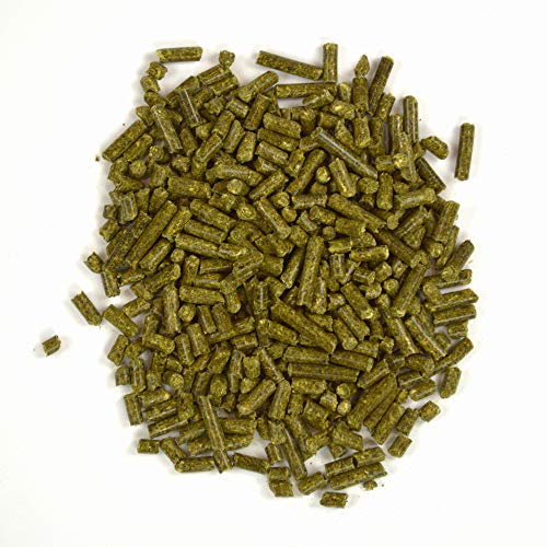 Oxbow Garden Select Young Guinea Pig Food, Uniform Guinea Pig Pellets, 4 lb | Guinea Pig Food, Timothy Hay, Alfalfa, High Fiber for Digestive Health, Vitamins & Minerals, Prevents Selective Feeding - size: 4 Pound (Pack of 1)