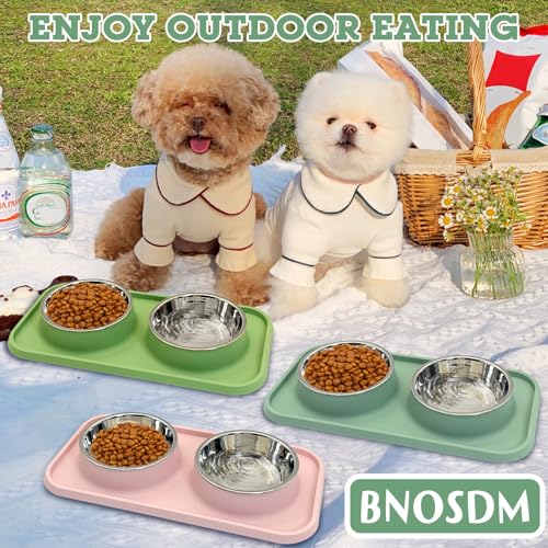BNOSDM 2 Pcs Double Dog Food Bowls, Stainless Steel Small Dog Food and Water Bowls with Non-Spill Plastic Mat, Pet Cat Feeder Dish Set for Puppy Cats Kitten, Green - color: Green【Set of 2】