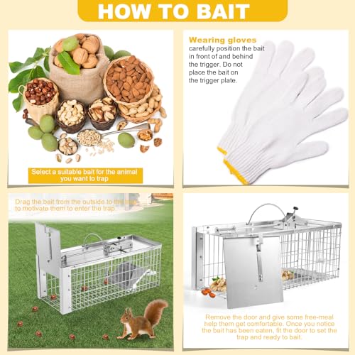 Squirrel Trap Live Animal Humane Cage Trap Catch Rats, Mice, Chipmunk, Weasel and Other Rodents for Indoor and Outdoor