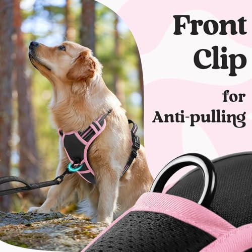 rabbitgoo Dog Harness Small Sized, Updated Easy On & Off with 3 Buckles | No Pull No Choke, Walking with 2 Clips and Handle, Adjustable Soft Reflective, Black & Pink, Small - color: Black & Pink, size: Small