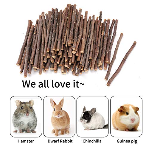 Natural Apple Sticks, 300g Treats Food for Small Animals, Chew Toys for Chinchilla Guinea Pigs Rabbit Squirrel Hamster Bunny - size: 300g