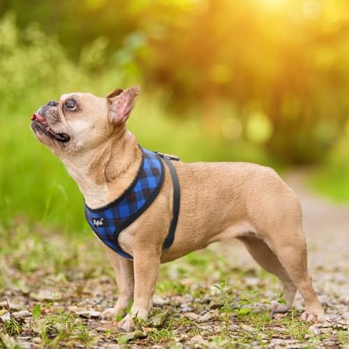 PUPTECK Soft Mesh Dog Harness and Leash Set Pet Puppy Cat Comfort Padded Vest No Pull Harnesses, Navy Blue, S - color: Navy Blue, size: S (NECK: 12", CHEST: 14"-18")