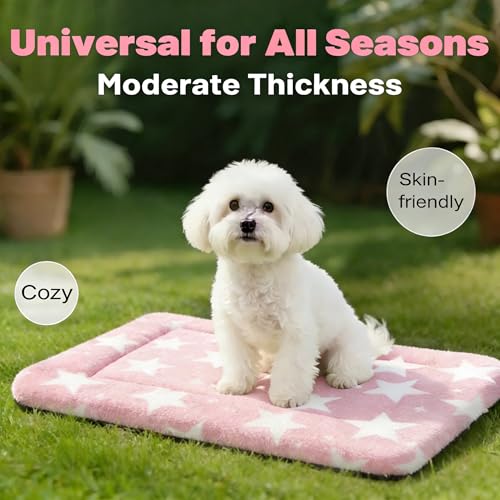 Dog Bed Mat, Reversible Crate Pad & Cute Dog Bed - Machine Washable Kennel Mat with Ultra Soft for Small Dogs (Big&Small Stars Pink, 24" L*18" W*1.5" Th) - color: Big&Small Stars Pink, size: 24"L*18"W*1.5"Th