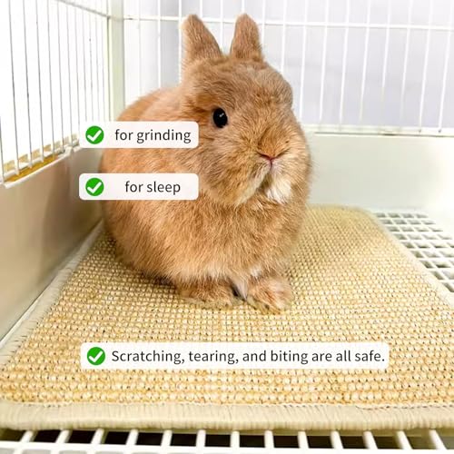 1PCS Rabbit Scratch Mat Natural Bunny Scratching Pad Claws and Teeth Care Rabbit Mats for Cages Rabbit Chew Toys for Bunny Pet Cage Bedding for Biting Sleeping Nesting, 24x16 - size: 24"x16"