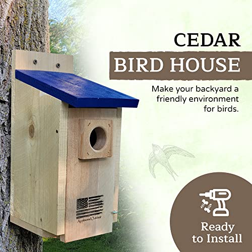 Made in USA,Rustic Cedar Bird Houses with Optional Camera (No Camera)