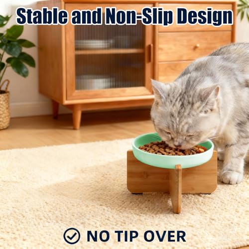 Shallow Elevated Cat Bowls with Bamboo Stand, 6.1 Inch Wide Ceramic Cat Dish Whisker Friendly, 2 Pack Pet Food and Water Plates - color: Mint green 2 pack