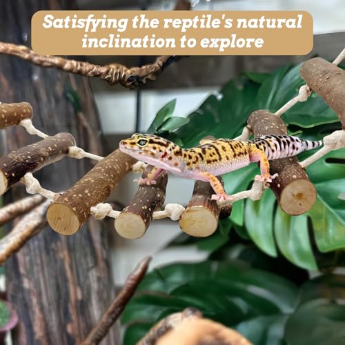 VCEPJH 2pcs Reptile Bridge Leopard Gecko Climbing Ladder Wooden Basking Lounger Reptile Tank Accessories for Hermit Crab Juvenile Bearded Dragon Chameleon Small Lizard (Fruit Wood)