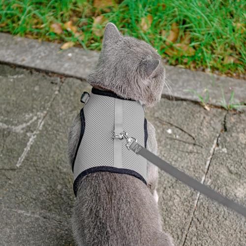PUPTECK Soft Mesh Cat Vest Harness and Leash Set Puppy Padded Pet Harnesses Escape Proof for Cats Small Dogs Rabbits Bunny - color: Grey, size: L(NECK 8.5"-10.5", CHEST 12.5"-15", 6-10 lbs)